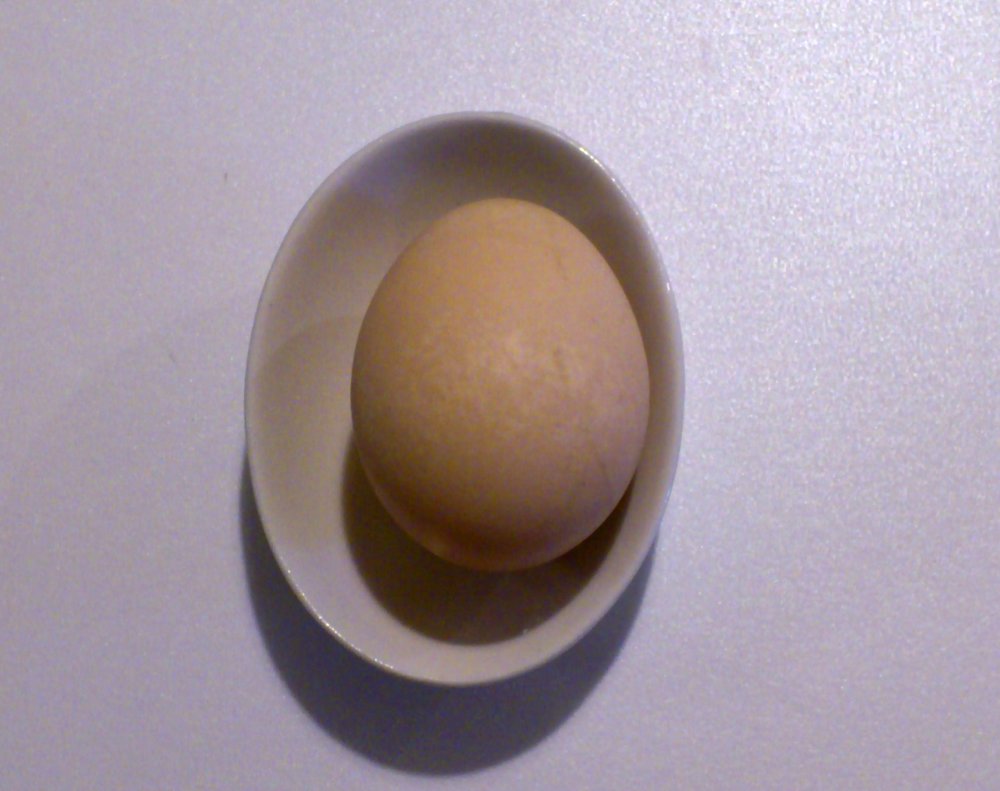 安井さんちの卵