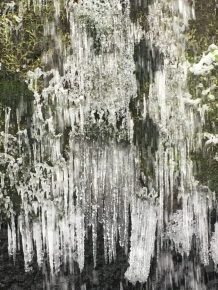 岩壁についた苔と滝の水しぶきが凍っています